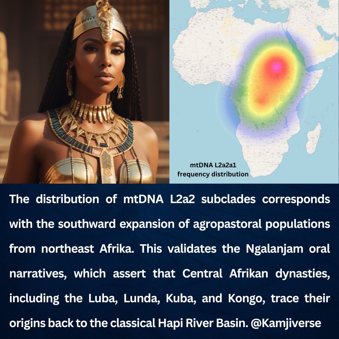 The distribution of mtDNA L2a2 subclades in Congo highlight the southward expansion of agropastoral populations from northeast Afrika. This corroborates with the oral testimonies of Ngalanjam dynasties such as the Luba, Lunda, Kuba and Kongo kingdoms.