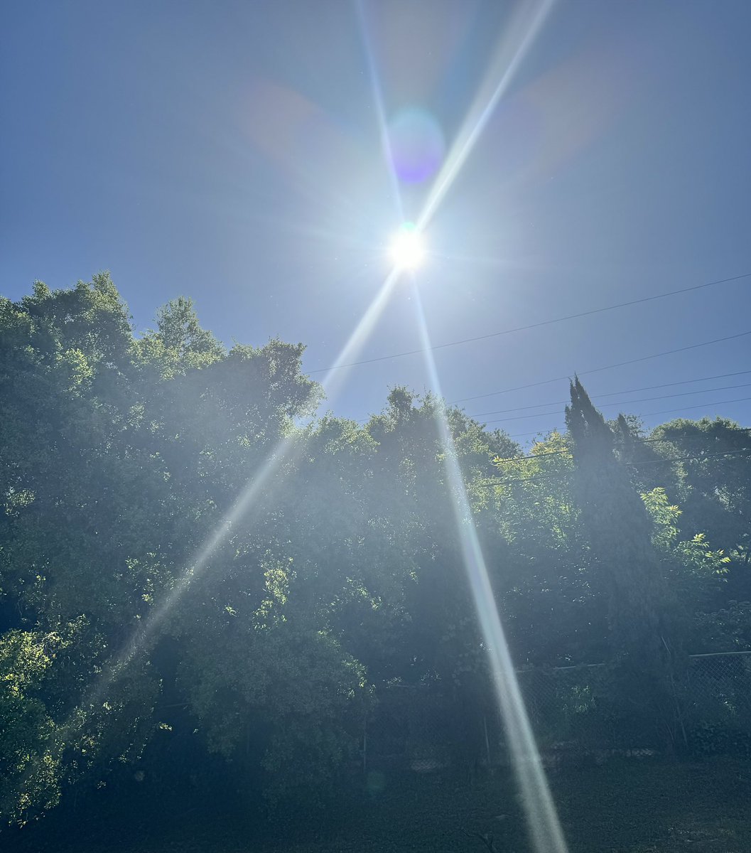 Happy Moon Day! View from our yard. @sean_p_thomas