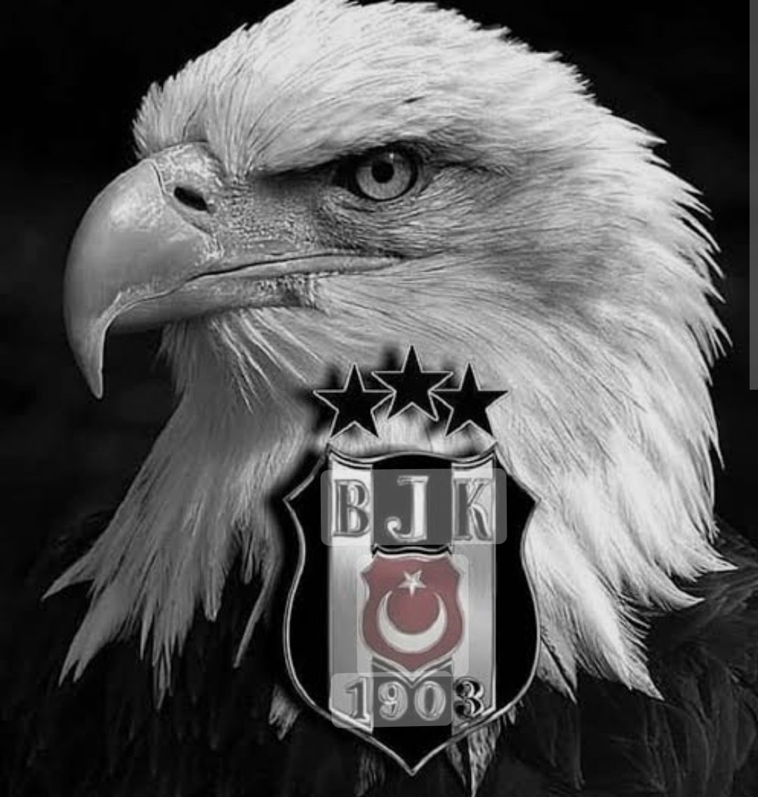 Ebedi dost, ezeli rakip, iki kardeş takım, @Fenerbahce ve @Besiktas kulüpleri #Fenerbahçeli ve #Besiktaslı taraftarları takiplesme twetidir. 💛💙Favlayan 🖤🤍Ment atan 🤍🖤💙💛RT'leyen herkesi takibe alalım. Bu düzene dur diyelim..