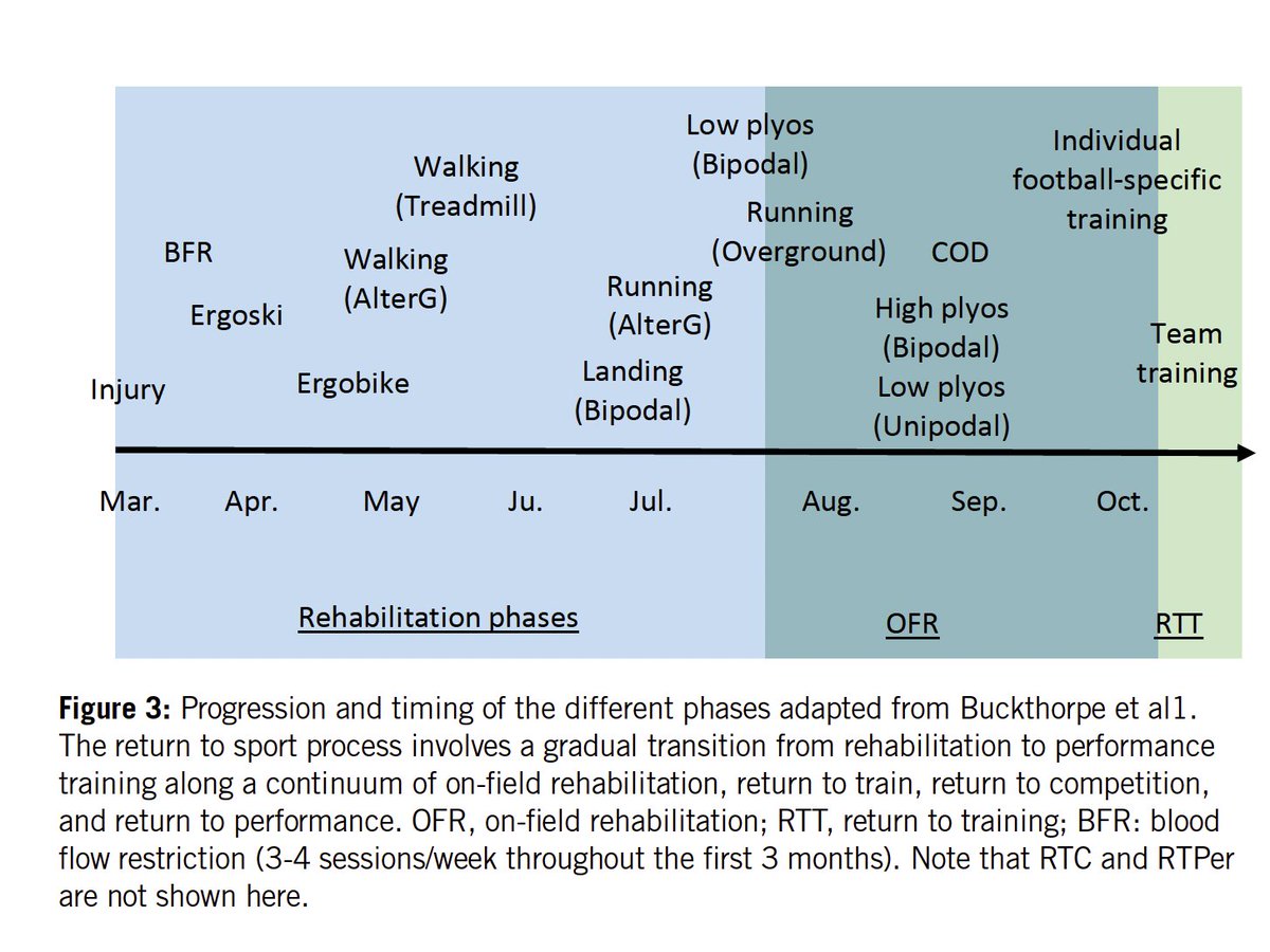 Monitoring The Reconditioning of The Injured Football Player With Field-based Measures.... A Case Study Following ACL Reconstruction. Cardiovascular fitness loss after ACL rehabilitation can result in lower baseline fitness levels during mid- and late-stage rehab, which may…