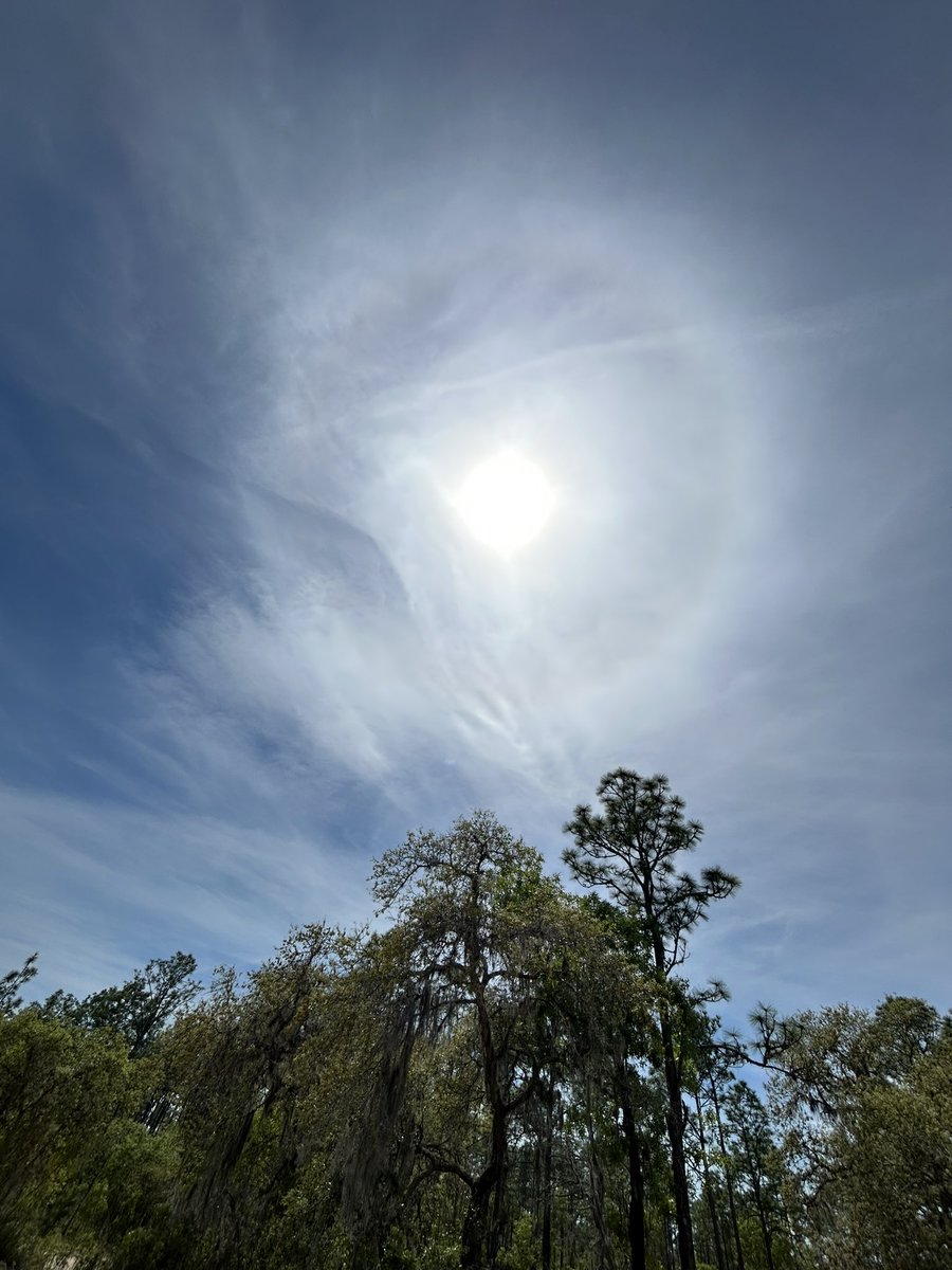 Halo Around Eclipsing Sun ✌🏼🌞✌🏼 @PaulFox13 @StormHour @FLskygazer @ThePhotoHour 🖖🏼🌞🖖🏼