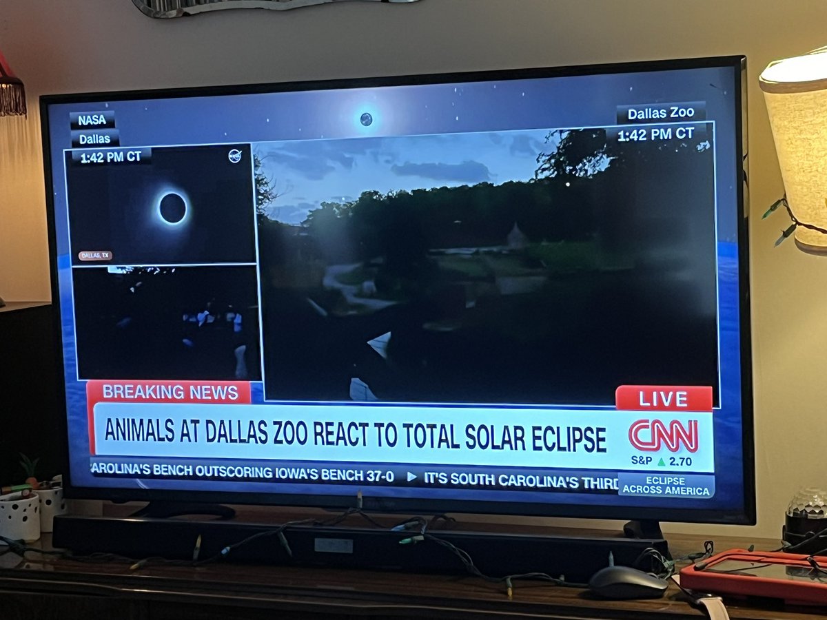 M.I. (Michael) Bruning tweet media