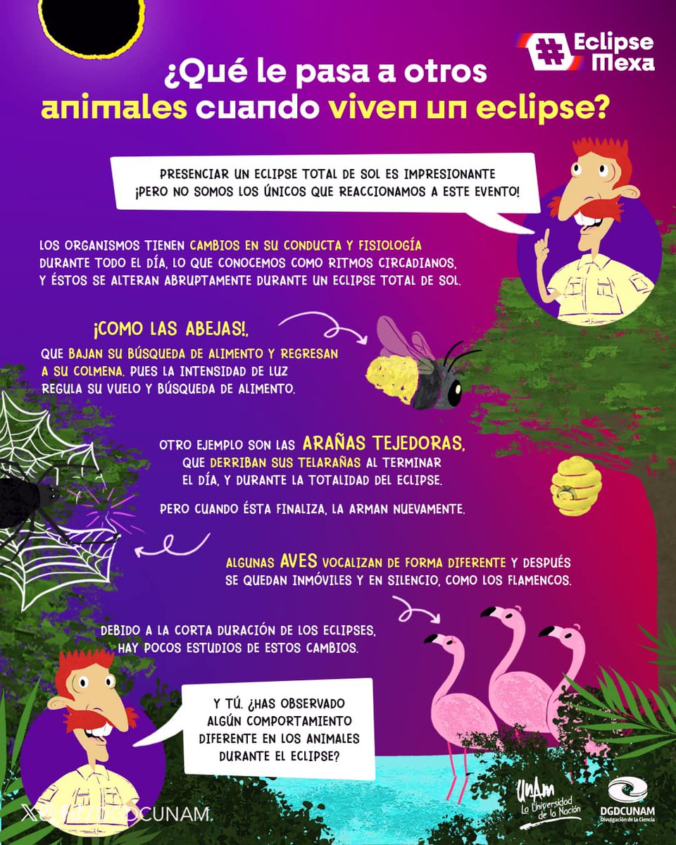 ¿Notas un comportamiento extraño en algunos animales por el #Eclipse2024? 😉No somos los únicos que reaccionamos a este extraordinario evento. ¡Consulta toda la información del #EclipseMexa en nuestro sitio! 👉bit.ly/3vb3ZCt