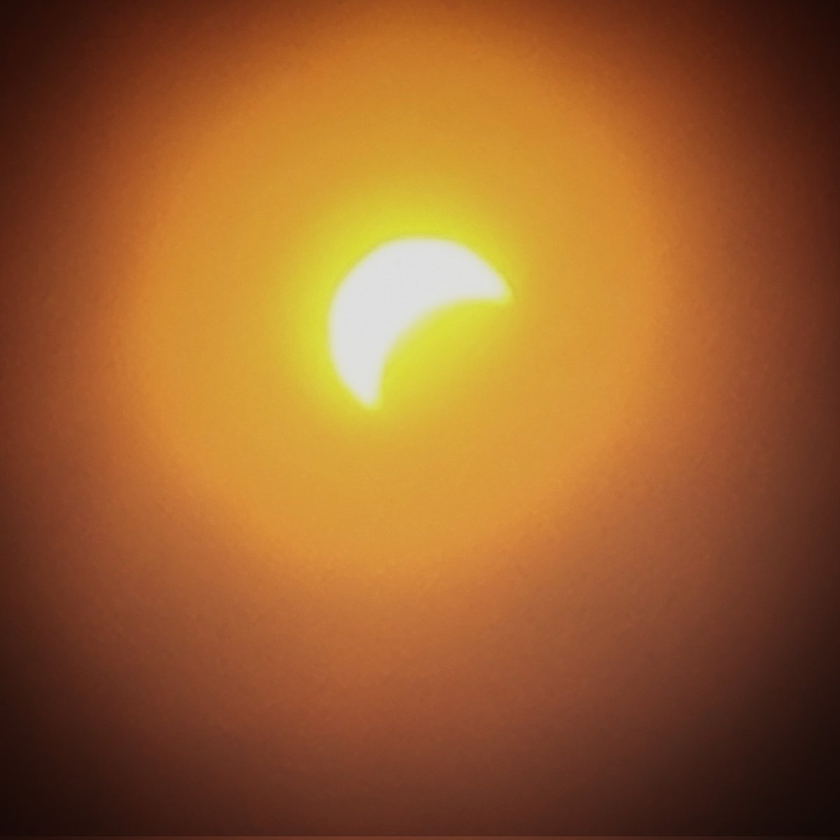 April Berry tweet media