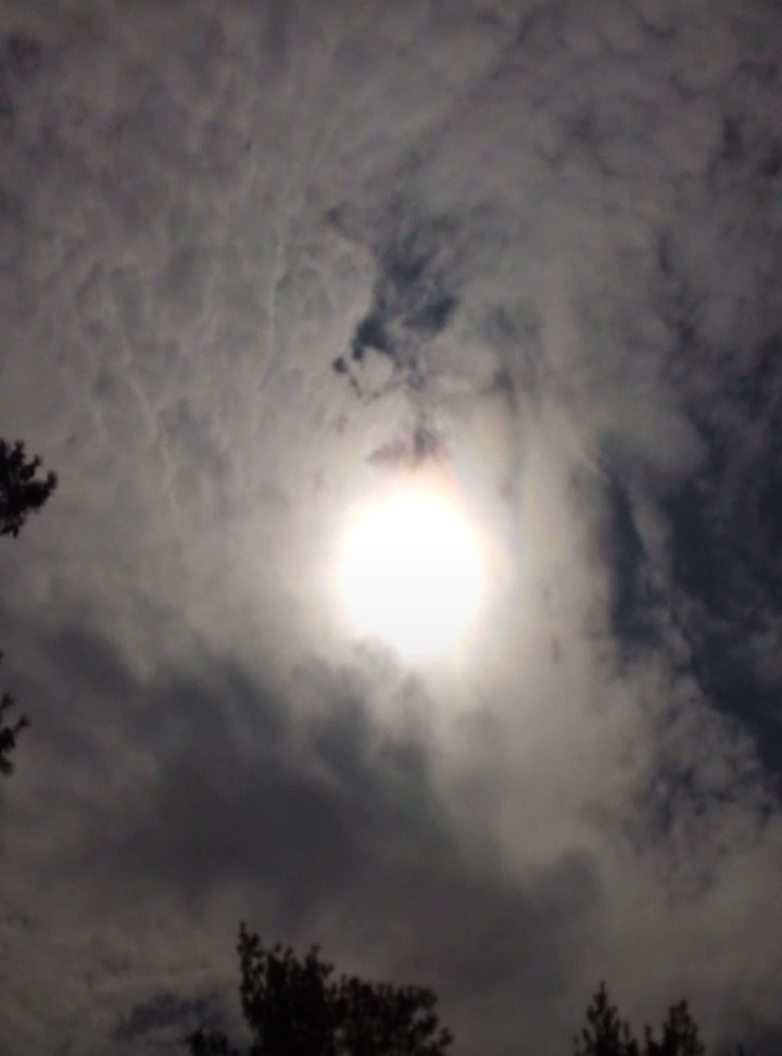 msViscaria's tweet photo. The solar eclipse has started 🥰. https://t.co/3eBdz1ekVV
