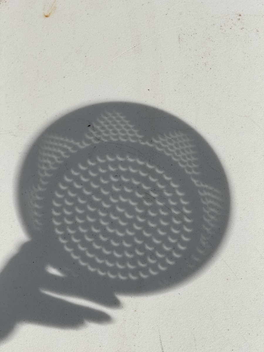 everyone’s looking up for the eclipse but I think it’s so cool to look down at the shadows of circles 🥹