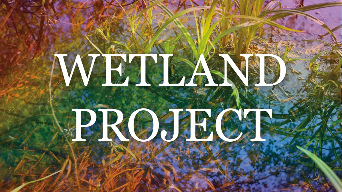 @WetlandProject slow radio broadcast is back on #EarthDay (April 22) - mailchi.mp/d2c4c619de73/w… - @local1073fm @chmaFM @kpovbend @RadioTacoma @khoiradio @WIUPFM901 @TheLakeRadio @FlirtFM @cc_canadien #wetlandproject #wetlands #ecoacoustics #soundart #climateaction