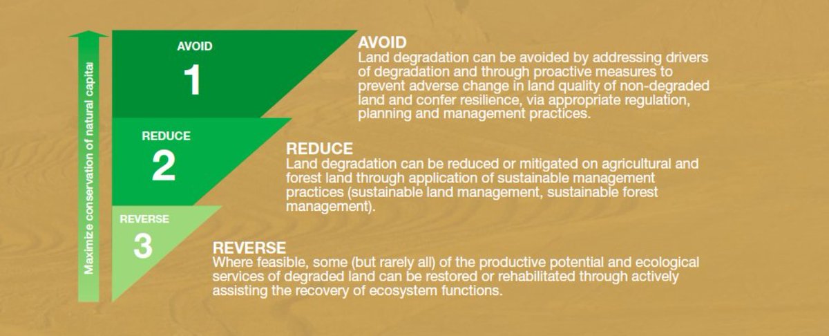 Reverse > Reduce > Avoid IRP finds positive spin-offs to support all 17 SDGs through land restoration in its report “Land Restoration for Achieving the Sustainable Development Goals”. Read here 👉bit.ly/Landreport