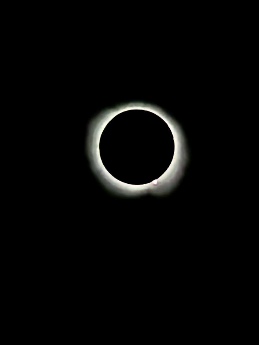 WXLovinTexan's tweet photo. Totality . As seen from my telescope. #texas #TotalSolarEclipse2024 #solarprominence in the bottom right @KristenCurrieTV @averytomascowx #txwx - now bring on the gorilla hail! https://t.co/NrvwWUSRbX
