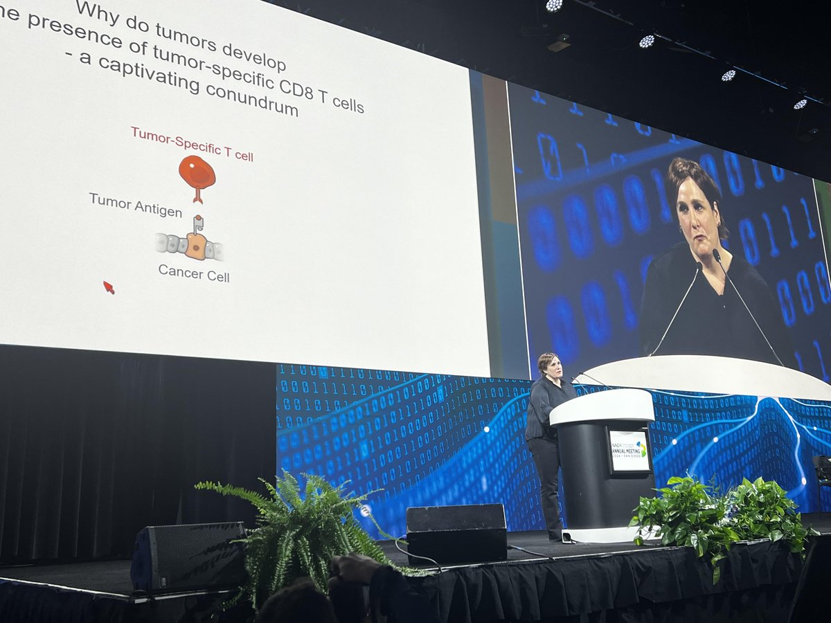 And now our very own @MSKCancerCenter's @SchietingerLab rock star killing it at #AACR24, she thinks so deeply and crisply on immunology and brings that to her talks, it is a total delight. CD4 T-cells rock (they have all the complexity and plasticity that I love so much)