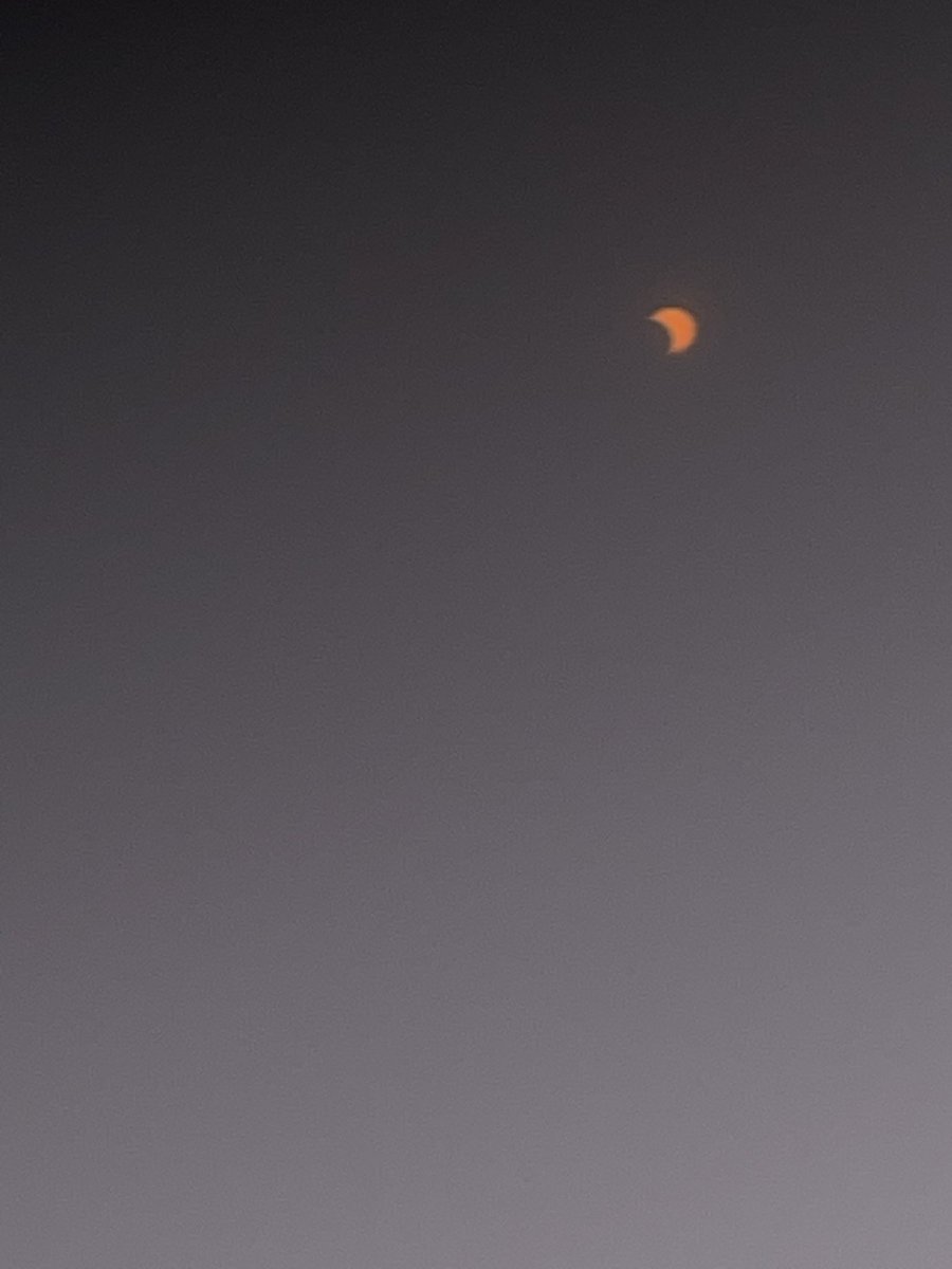 flux ☄️ tweet media