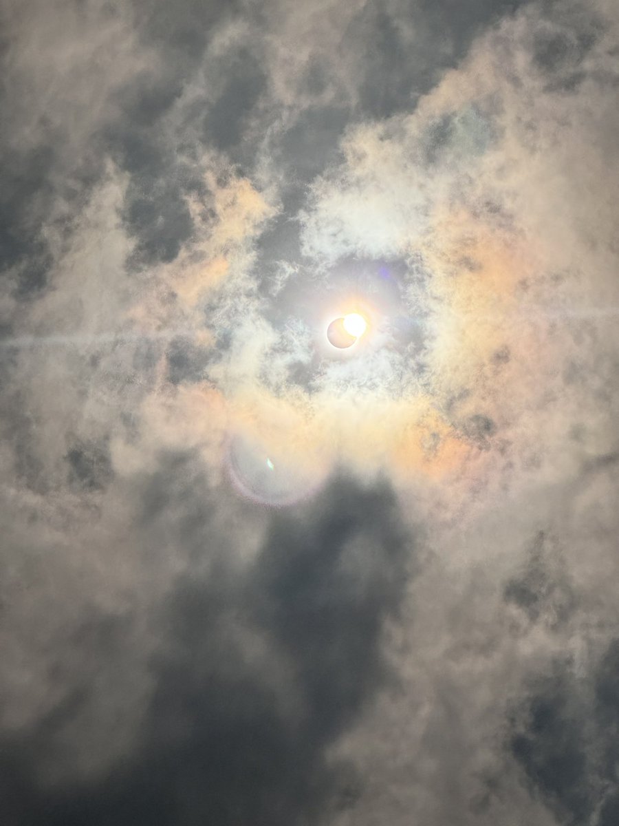 School Beans Bar and Grill 🦭📚✏️🎓 tweet media