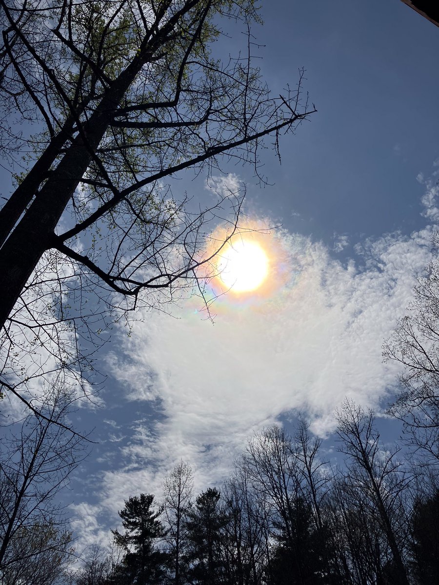 Maxcellent's tweet image. #Eclipse2024