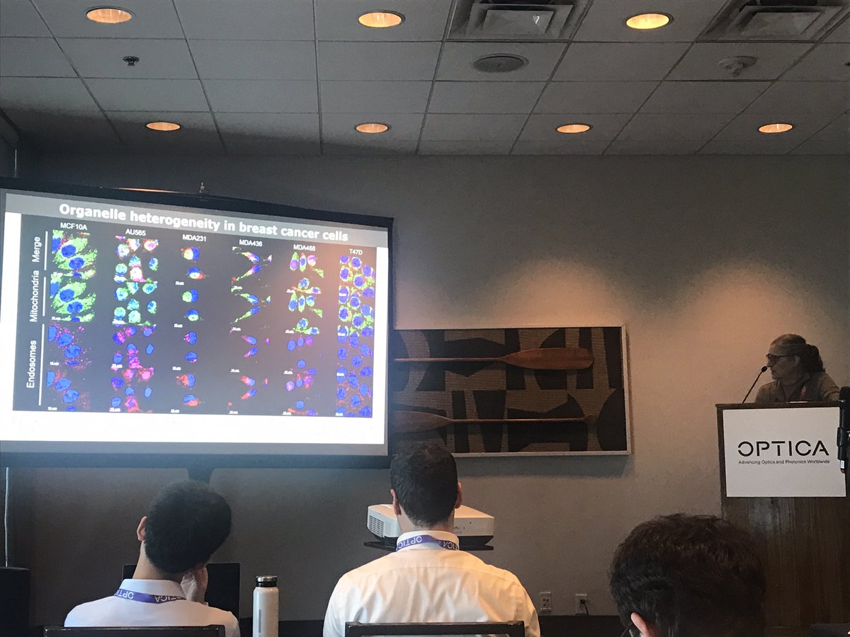 Thanks @barrosolab for such a wonderful insight on Organelle topology profiling of the metastatic cancer cells using ML classification #DeepLearning #biology #opticaphotonics2024 #albanymedicalcollege