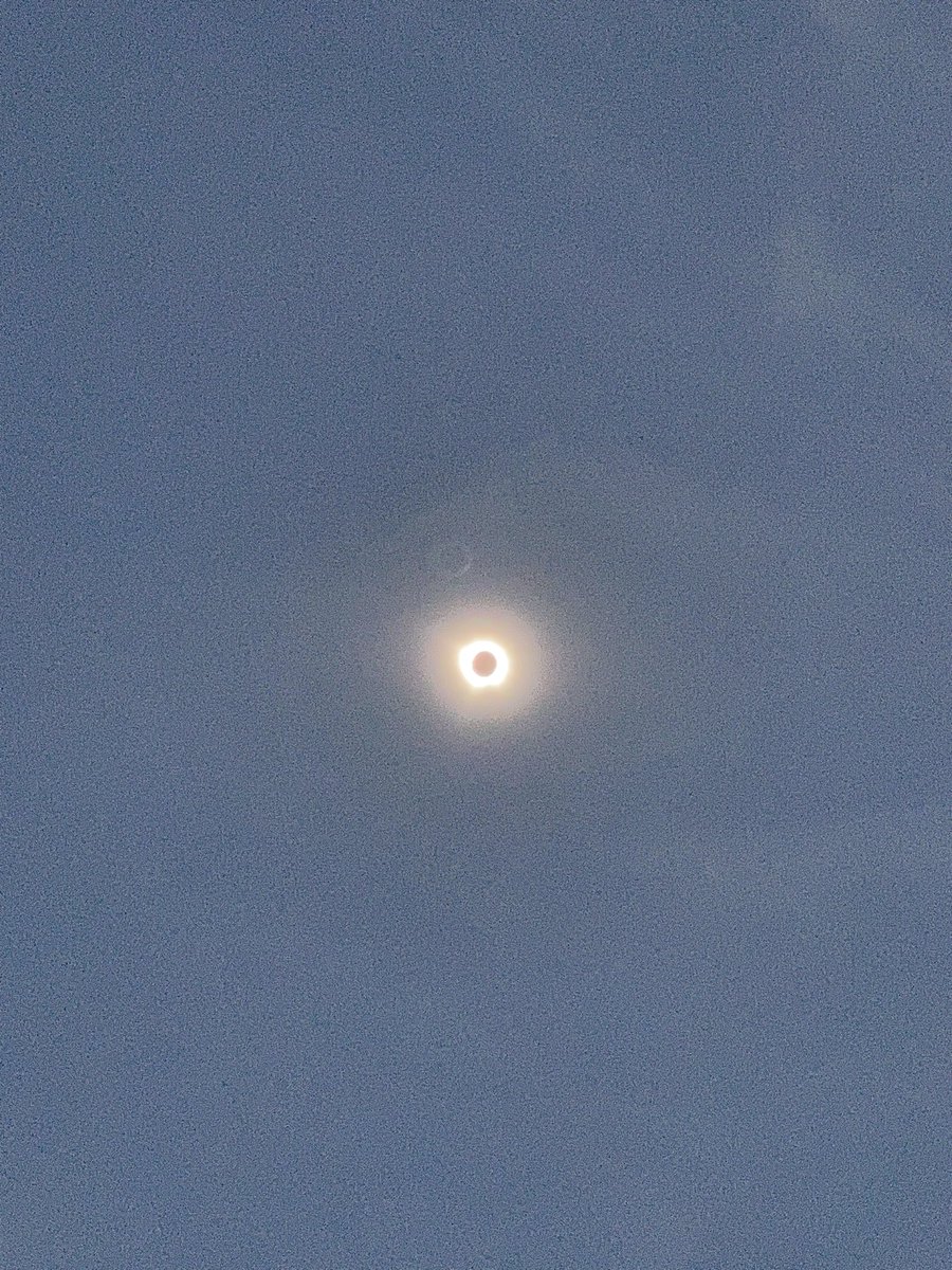 Kristen Cline tweet media