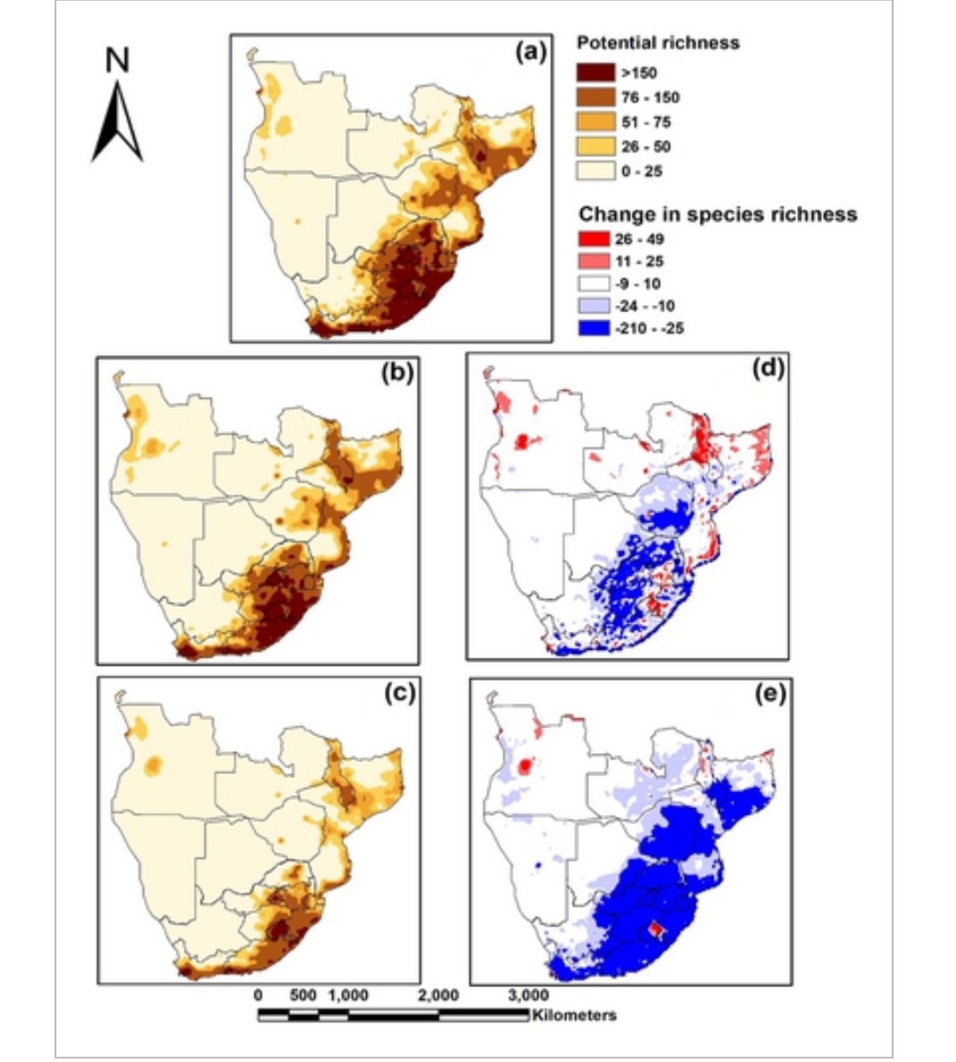 ali_haroon_ali's tweet photo. 🌍✨ Exciting News! 
Our latest research paper, "Invasion risk of the currently cultivated alien flora in Southern Africa is predicted to decline under climate change," is now published in Ecography and available online! 🌱🔍 (https://t.co/iPXtOeFGdz) https://t.co/m48sgUDY8o