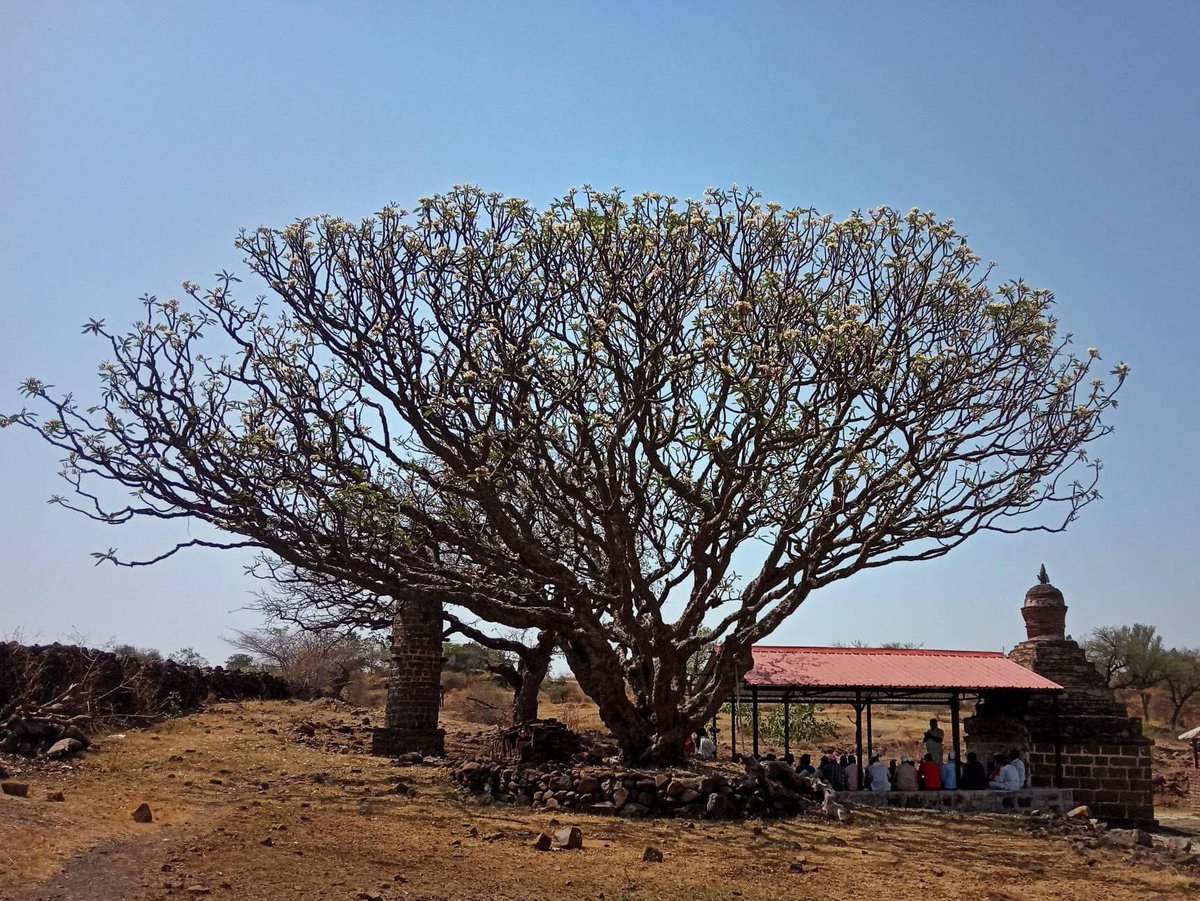 #माझाक्लिक