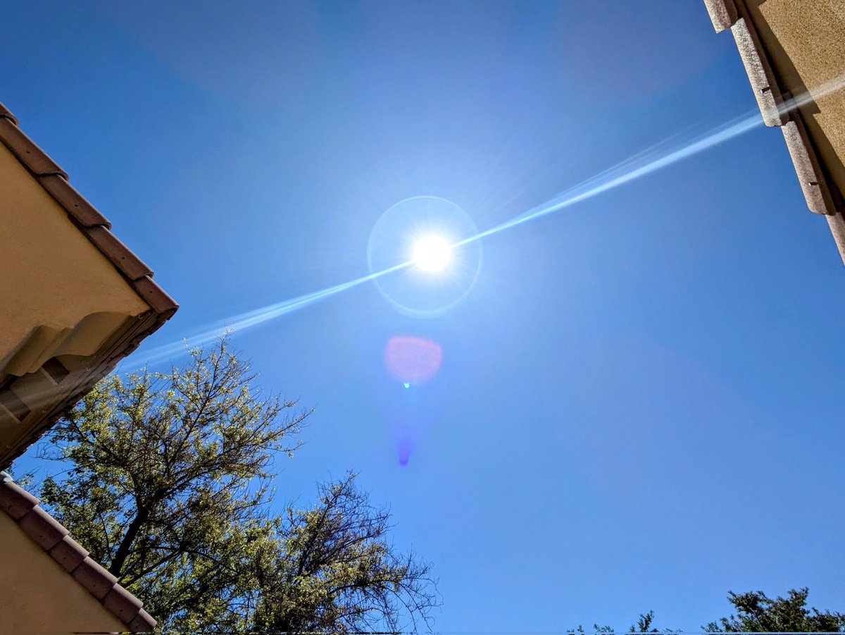 Milfy 🌻☮️ tweet media