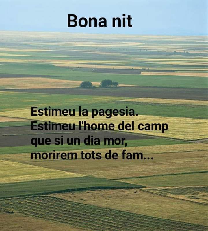 💤💤💤 i molt bona nit 😊🥰