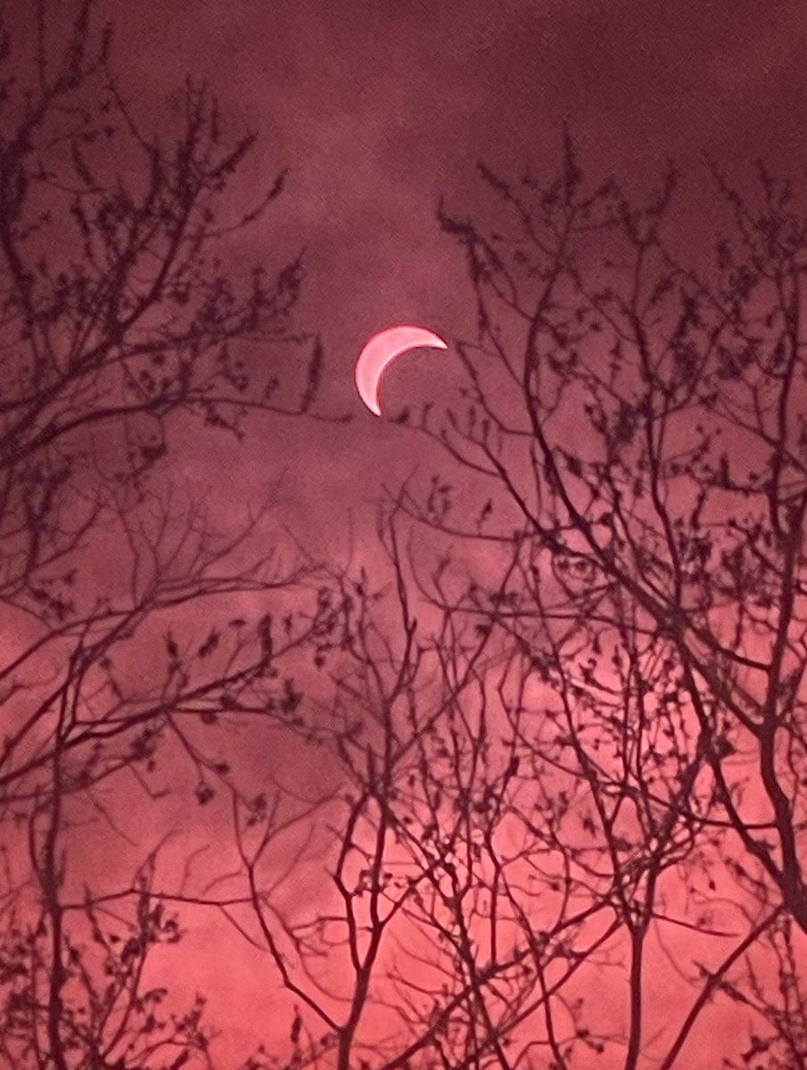 Well….this is something. Put on those glasses in the DMV! #Eclipse #Eclipse2024