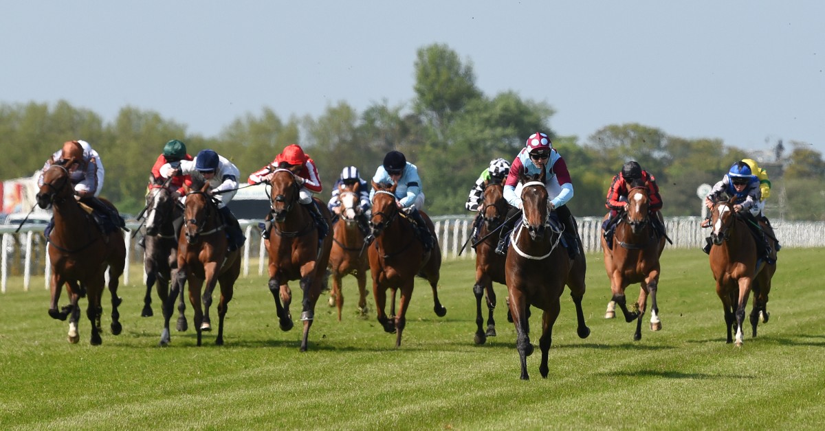 The thunder of hooves are back at Great Yarmouth this Saturday! With fantastic flat racing on track and the Grand National live on screens throughout the day, you don't want to miss our Season Opener 🏇 🎟️ greatyarmouth-racecourse.co.uk/whats-on/seaso…