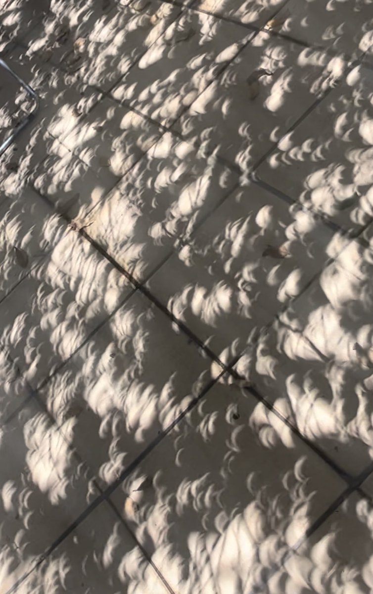 AlicePCH's tweet photo. #EclipseSolar2024 #Eclipse2024 #Eclipse #SolarEclipse2024 inolvidable experiencia en #Guadalajara Mexico 🥰 https://t.co/k0hcuKoqVP