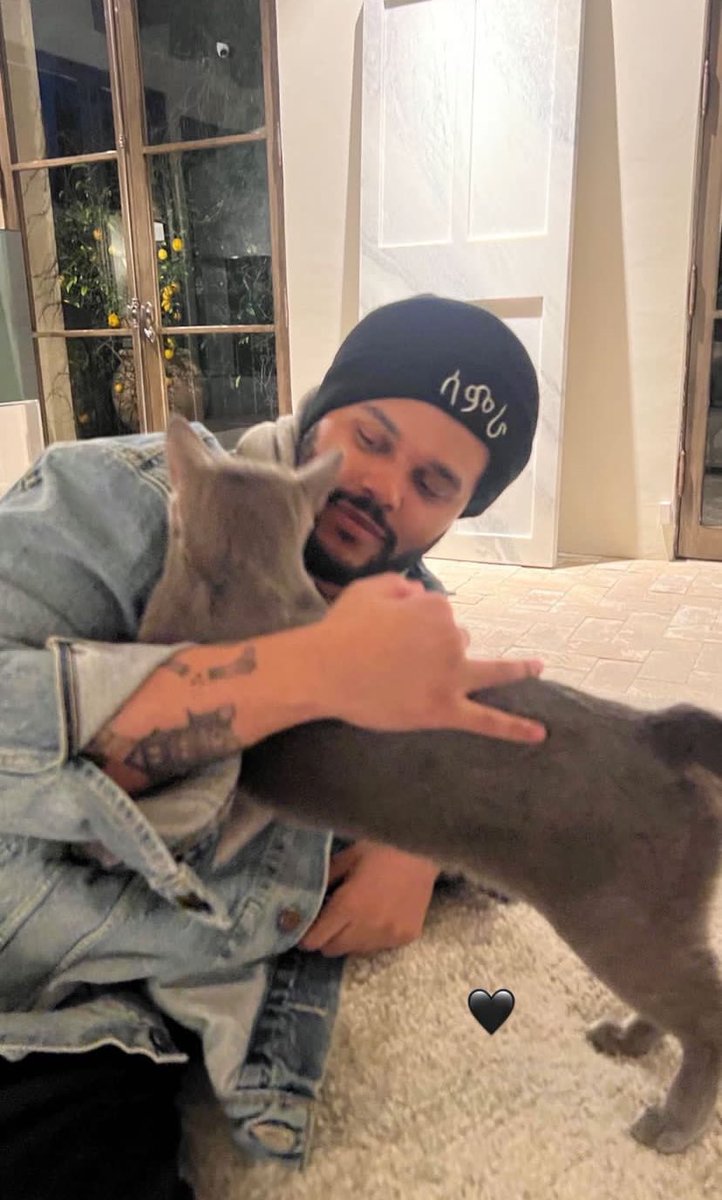 FUCK THE SOLAR ECLIPSE ABEL DROPPED 😍