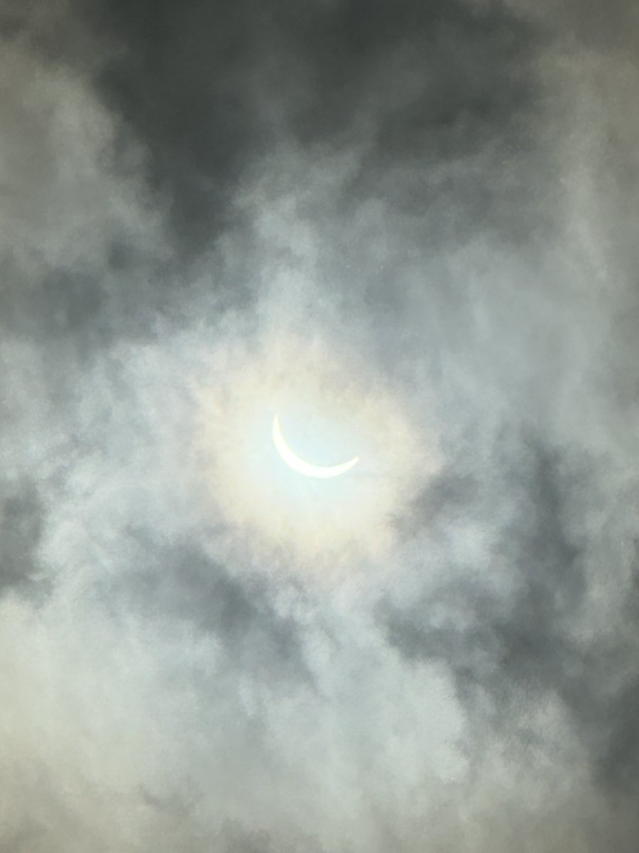 JeremyWilusz's tweet image. Lab eclipse viewing. Clouds parted just in time for the big show @bcmhouston. #Eclipse2024