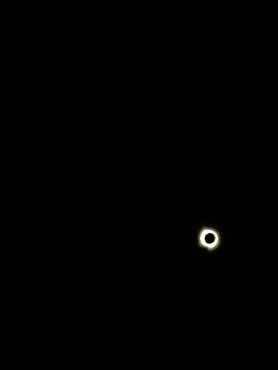 William Markito tweet media