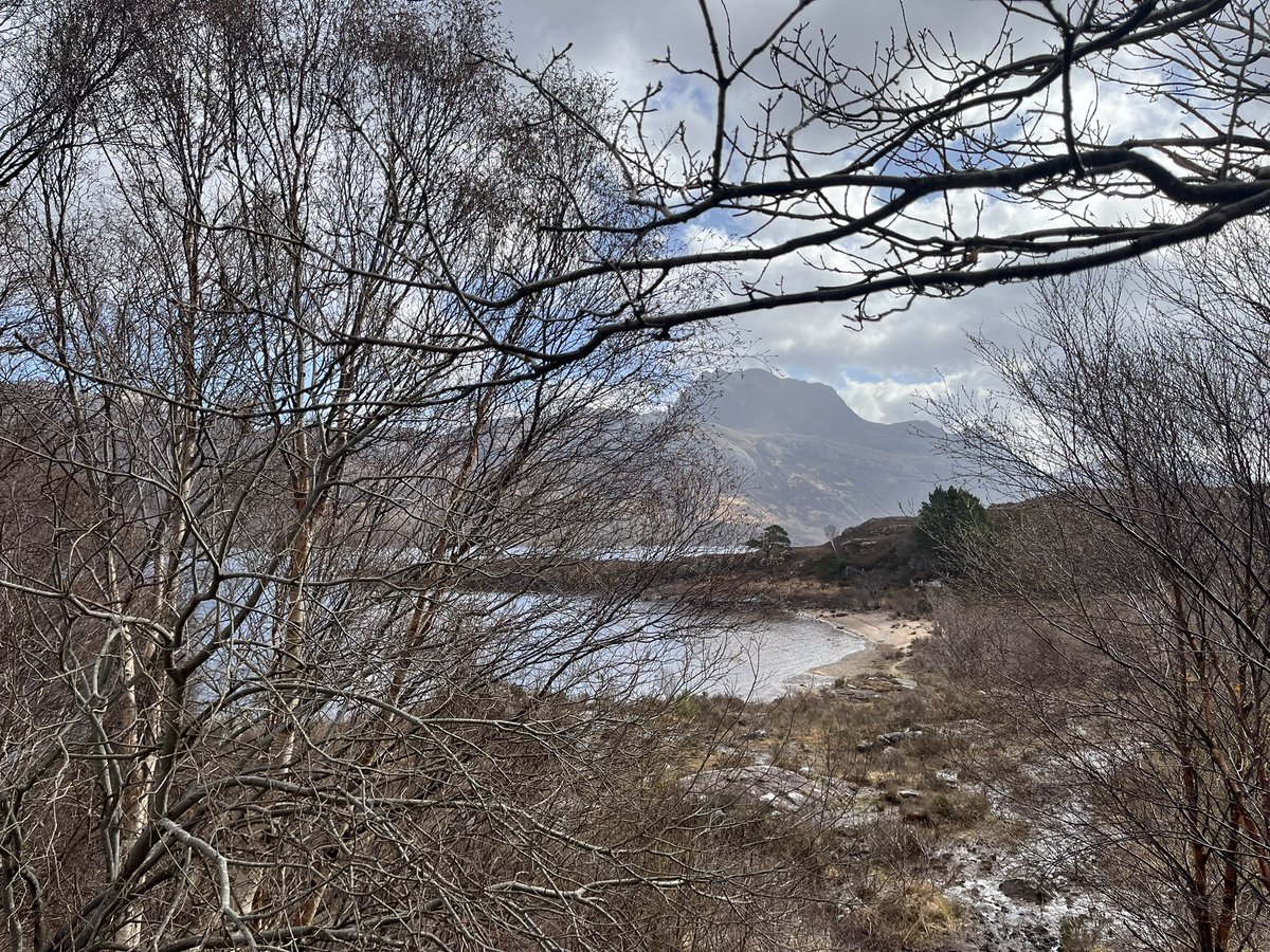 What a hidden treasure Badachro distillery is.  A lovely drive along a picturesque bay, sea lions basking in the sun and finishing at loch Maree #nc500 #westerross #scotland #landscapes #badachrodistillery #lochmaree