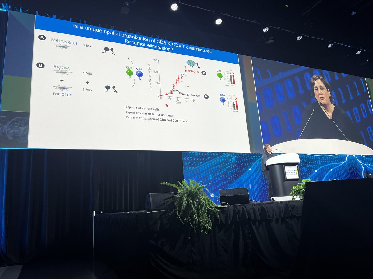 'Its not the number of T-cells, but their spatial configuration that matters for tumor removal. Spatial context is my favorite thing and @SchietingerLab is demonstrating so beautifully in her talk #AACR24 and she is taking brilliant her ideas all the way to the clinic!