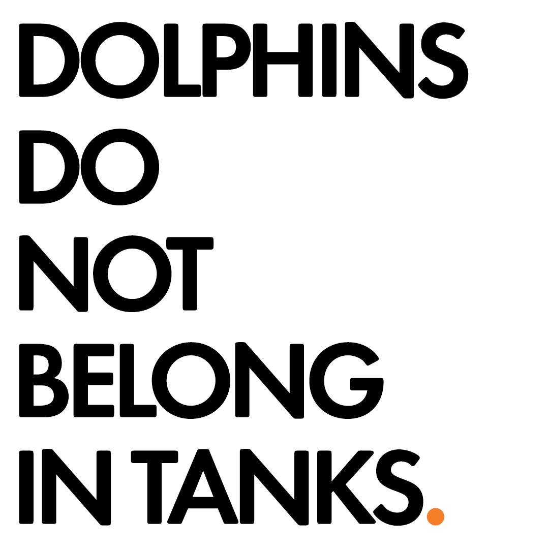 FACT: Dolphins belong in the wild, not in tanks. 🐬