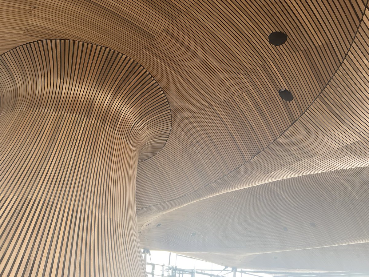 Must take a boatload of teak oil to keep the Senedd funnel looking great.