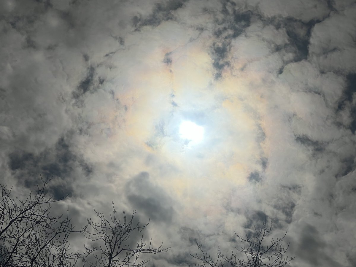 Getting ready to observe Full #SolarEclipse2024 from our farmhouse