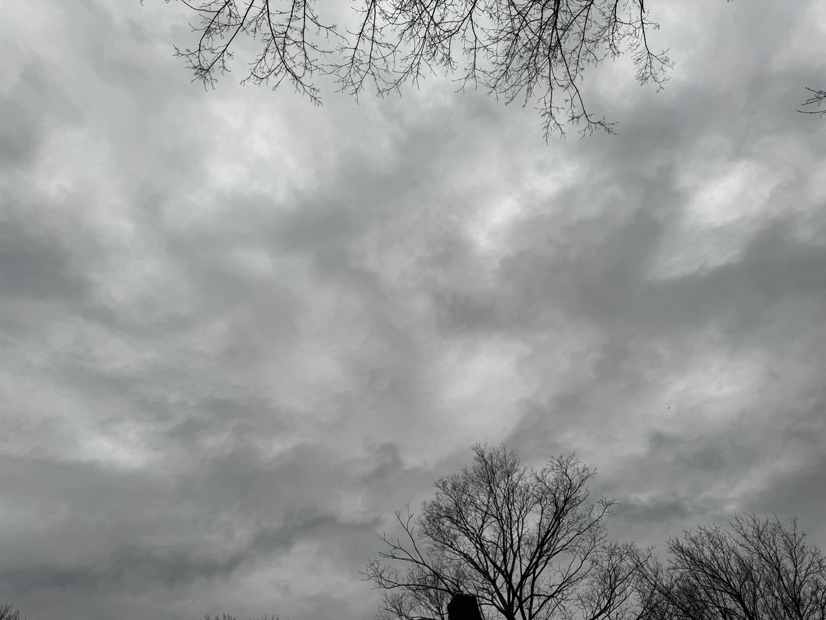 LaborFaker's tweet image. Getting really excited only to be let down in the end? Lots of tourists got the real Buffalo experience