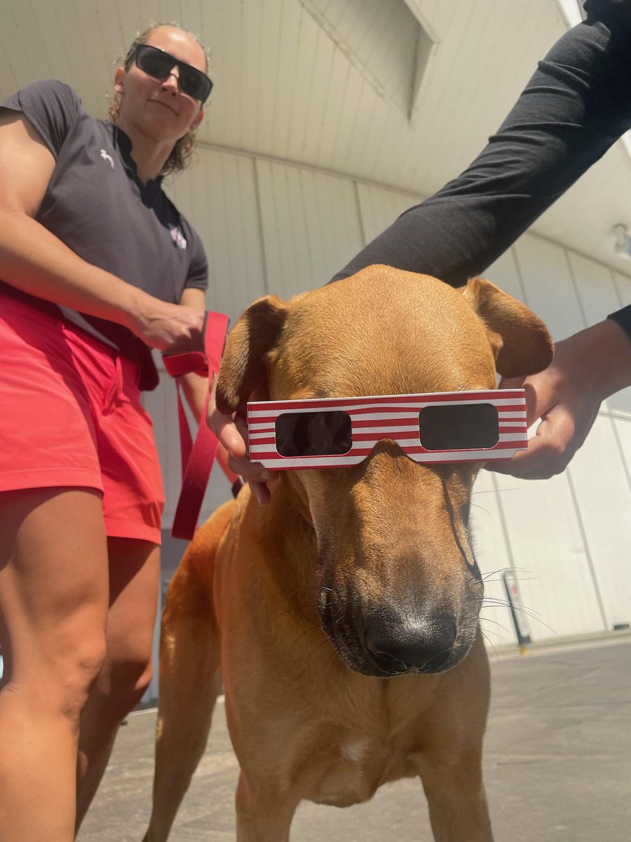 Amber Feldman (@msaafeldman) on Twitter photo 