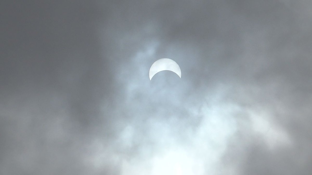 Cooper Seamer tweet media