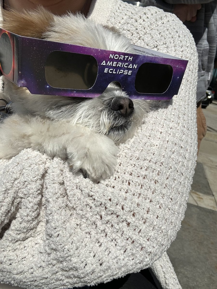 #SolarEclipse2024 🐶