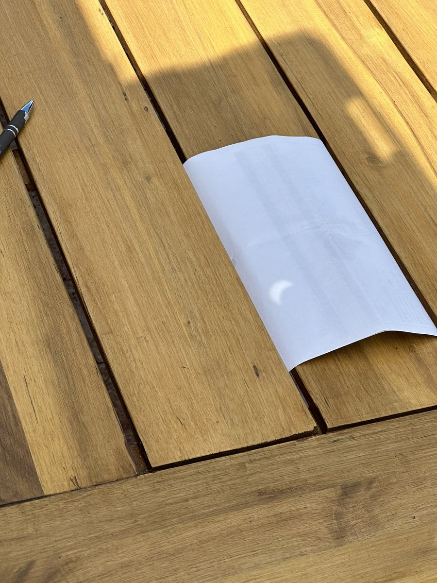 48% partial eclipse reaching its peak here in FL 🌙