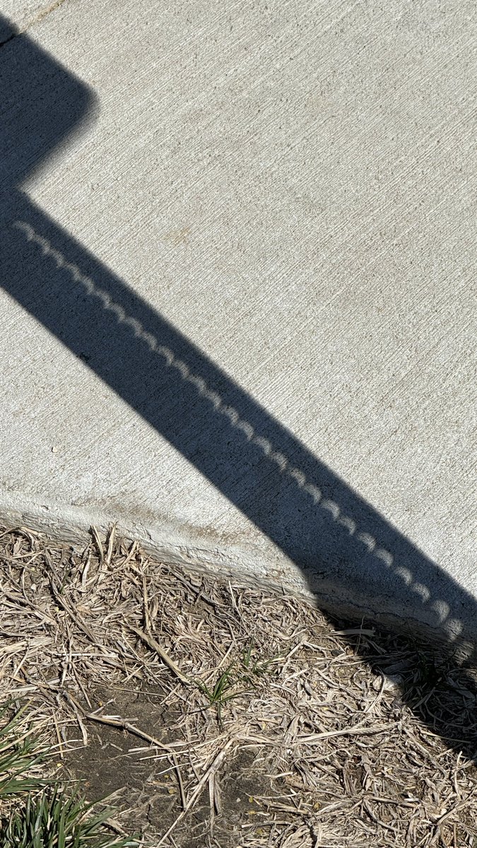 Seeing the partial eclipse in shadows is pretty cool! Can you see it? #Eclipse2024