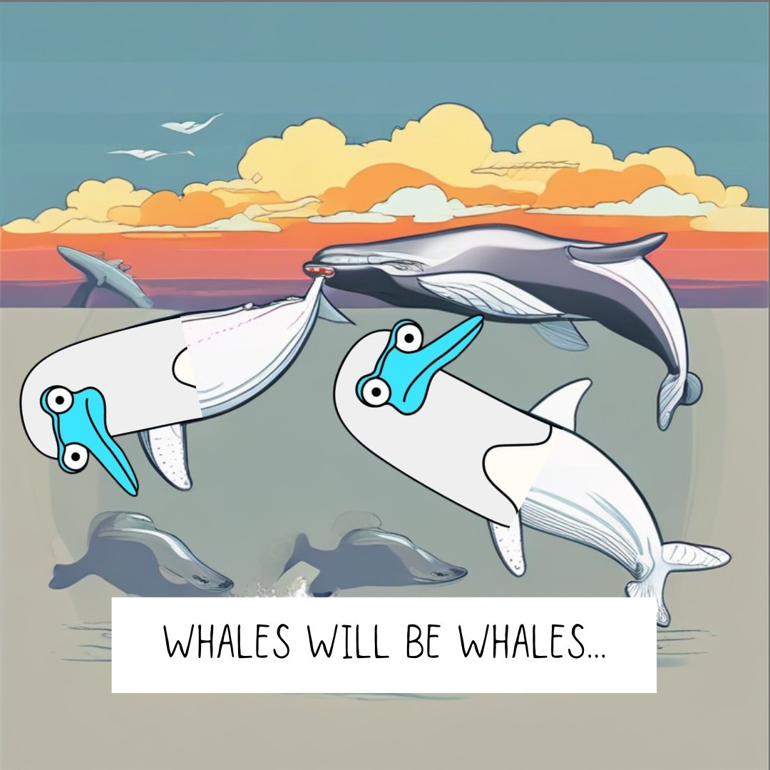 Blue whales, belugas, humpback whales, and <a href="/orcas/">Orcas</a> whales are all playing with $BOOBY 🐋 

$moai $wen <a href="/wenwencoin/">Wen</a> $bul 
<a href="/bulsolcommunity/">Bul</a>  <a href="/nakahobo/">satooshi nakahobo $BTC</a>