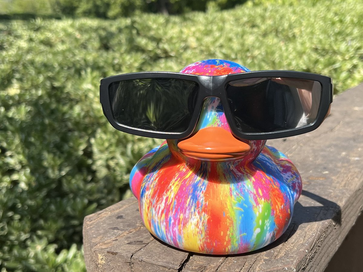 Tie-dye #weatherduck made sure he was fully prepared for today’s #SolarEclipse even if we weren’t in the path of totality here in SoCal. Safety first! #LAwx #LAsunshine #LAEclipse #Eclipsewx #SolarEclipse2024