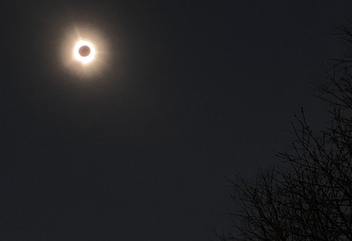 Betsy Herrin tweet media