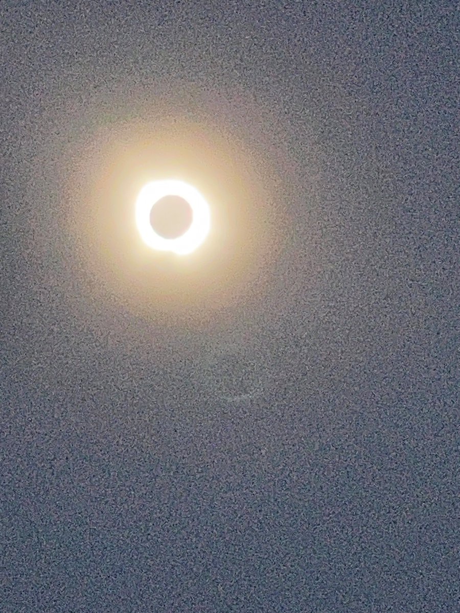 Jenny Harmon, MD, PhD tweet media