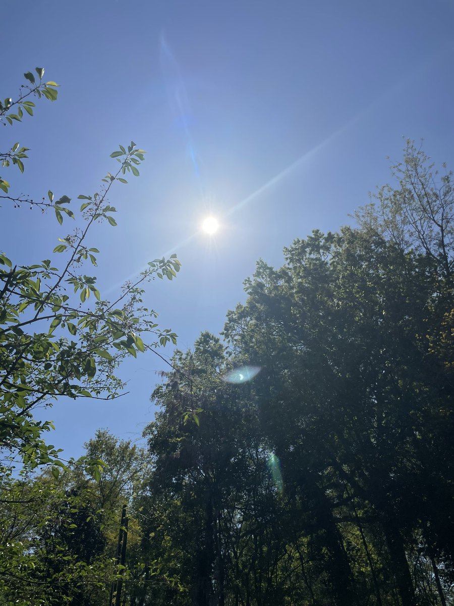 Peak eclipse in Raleigh is here! At around 70-80% of totality it’s noticeably darker outside, but while you can see the eclipse in the shadows on the ground, the sun doesn’t show much visible blockage up in the sky.