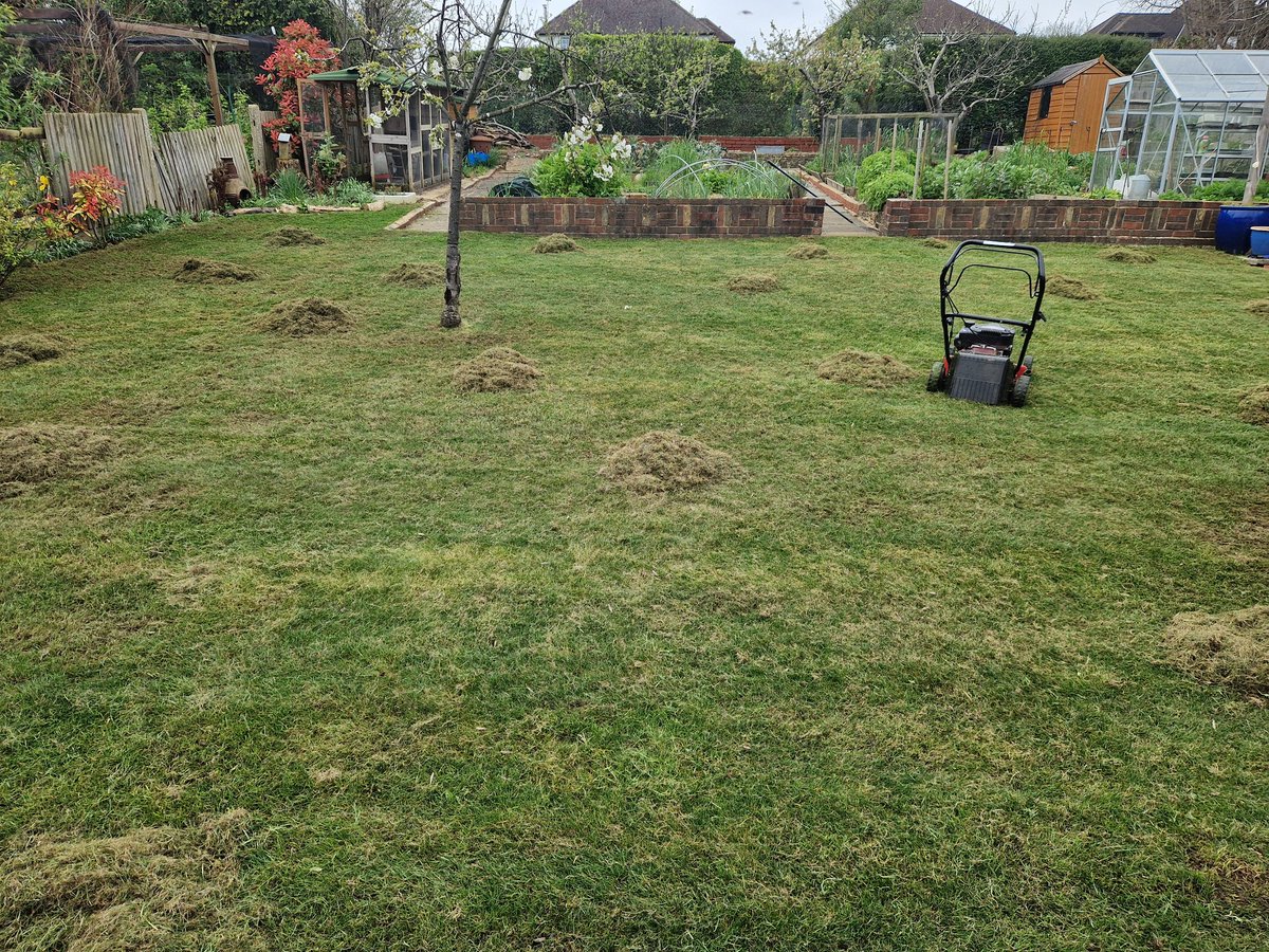 Today was a lawn day! 2 cu metres of thatch removed, 3 cuts. And now it's getting a good rain on. A couple of bald patches to re seed tomorrow.
