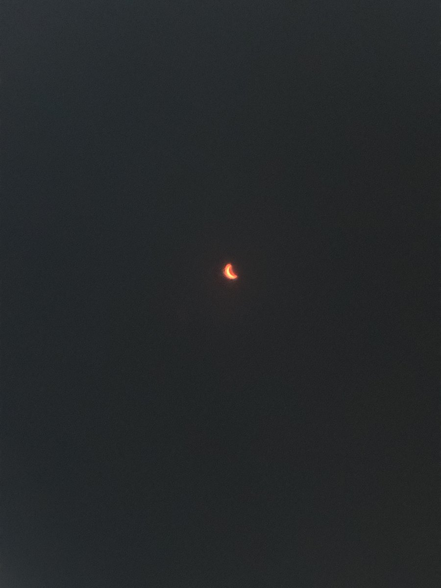 Robert Kennedy tweet media