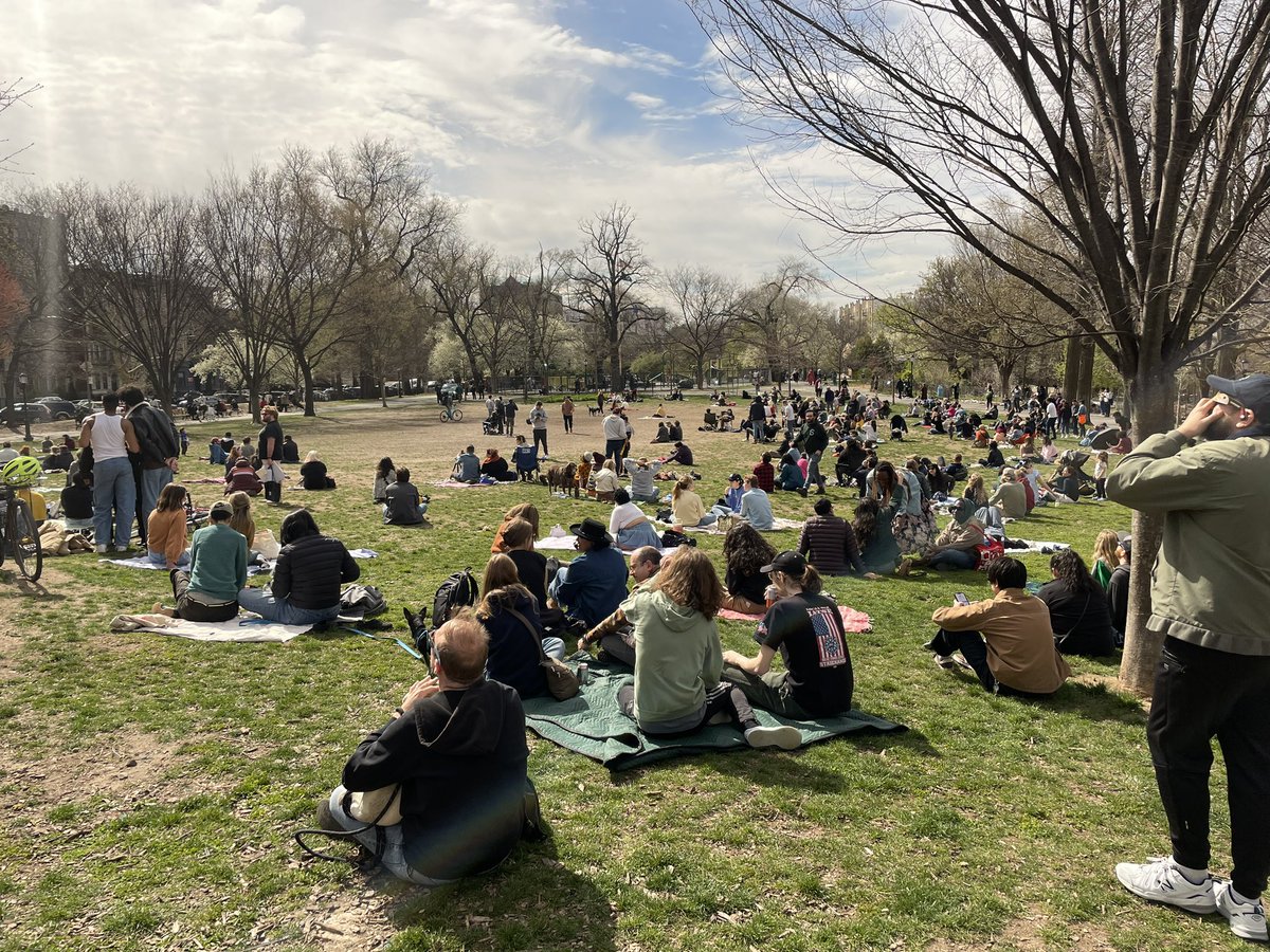 a regular monday afternoon in woke brooklyn. noone works anymore