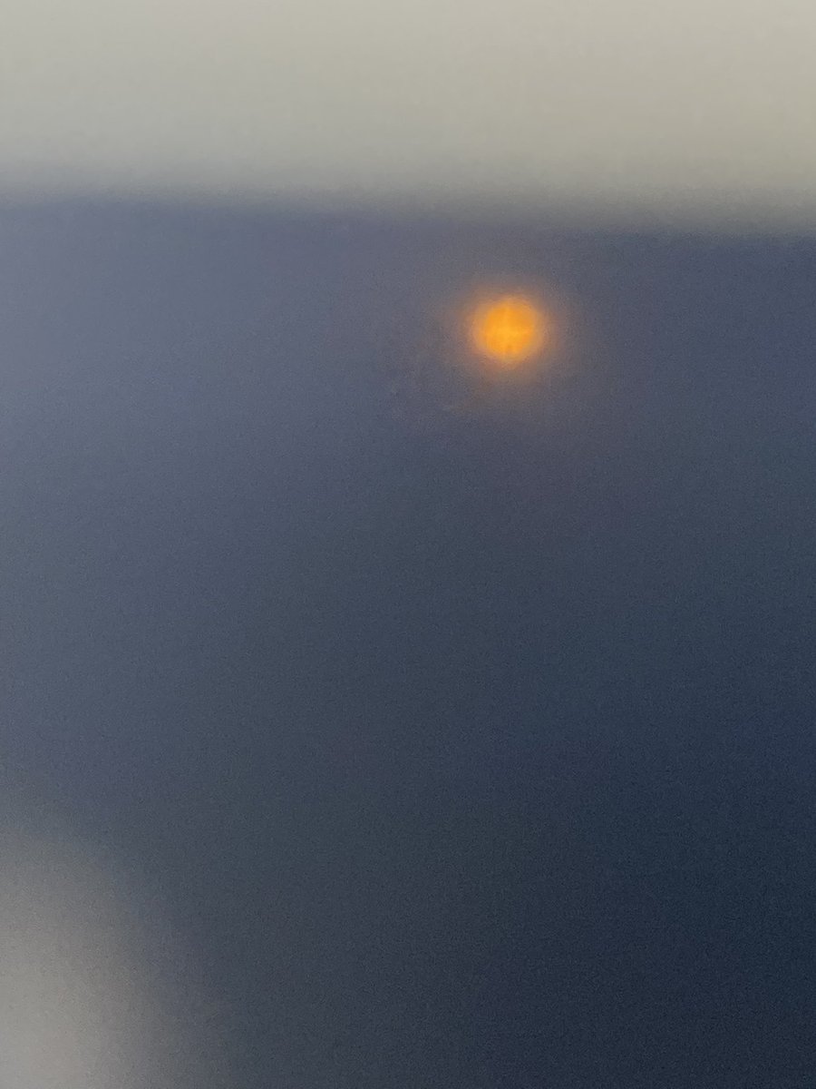 MathCoachHEH's tweet image. HEH pre-k and kindergarten students mesmerized by eclipse 2024. #Eclipseviewing#FunScience @PrincipalFelipe @drtabitha7 @DrTamaraCandis @HamiltonEHolmes