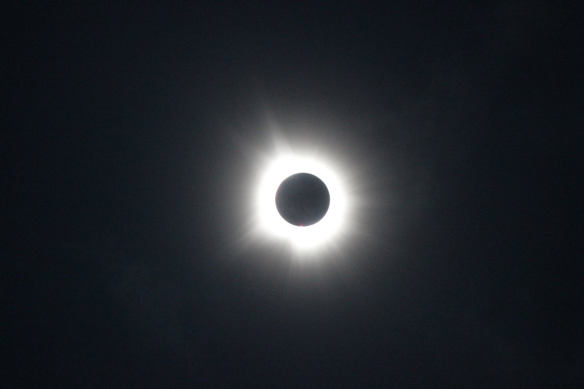 Steve Gardner tweet media